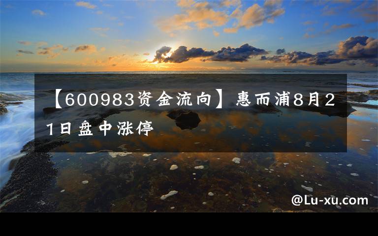 【600983资金流向】惠而浦8月21日盘中涨停