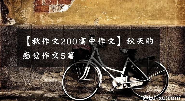 【秋作文200高中作文】秋天的感觉作文5篇文章配图