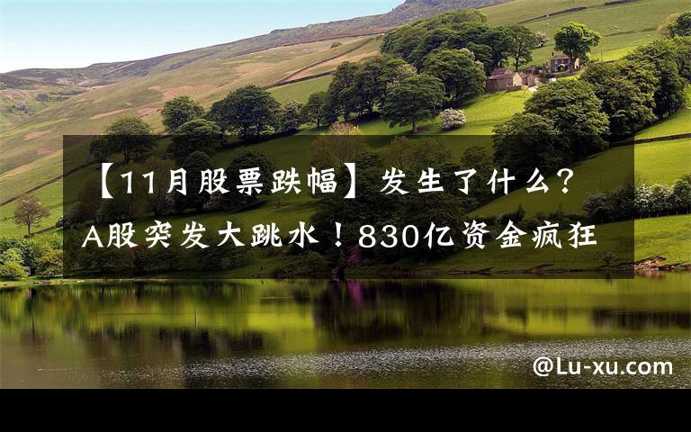 【11月股票跌幅】发生了什么？A股突发大跳水！830亿资金疯狂出逃，出逃股票你有吗？名单