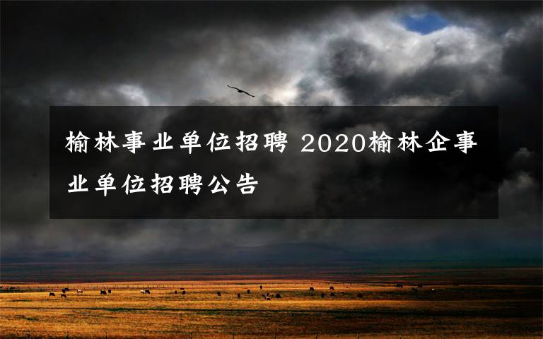 榆林事业单位招聘 2020榆林企事业单位招聘公告