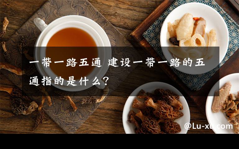 一带一路五通 建设一带一路的五通指的是什么？文章配图