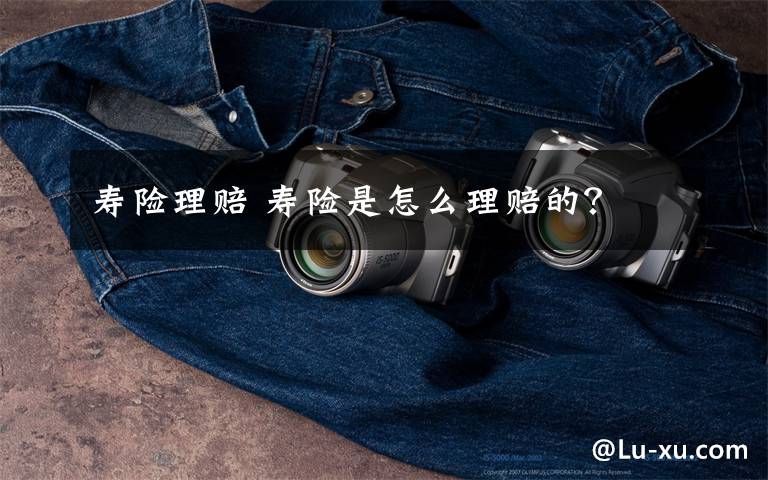 寿险理赔 寿险是怎么理赔的？文章配图