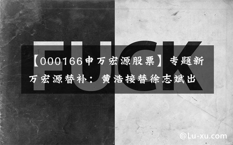 【000166申万宏源股票】专题新万宏源替补：黄浩接替徐志斌出任总经理，财务总监同日离职。文章配图