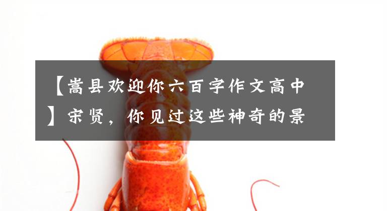 【嵩县欢迎你六百字作文高中】宋贤，你见过这些神奇的景观吗？文章配图
