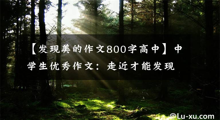 【发现美的作文800字高中】中学生优秀作文：走近才能发现美