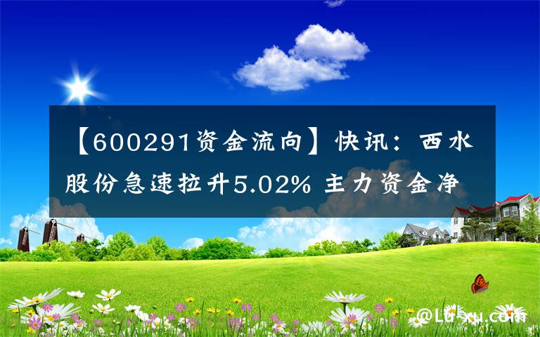 【600291资金流向】快讯：西水股份急速拉升5.02% 主力资金净流出178.70万元