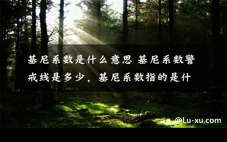 基尼系数是什么意思 基尼系数警戒线是多少，基尼系数指的是什么？文章配图
