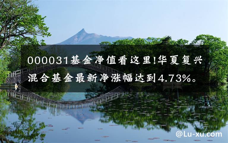 000031基金净值看这里!华夏复兴混合基金最新净涨幅达到4.73%。