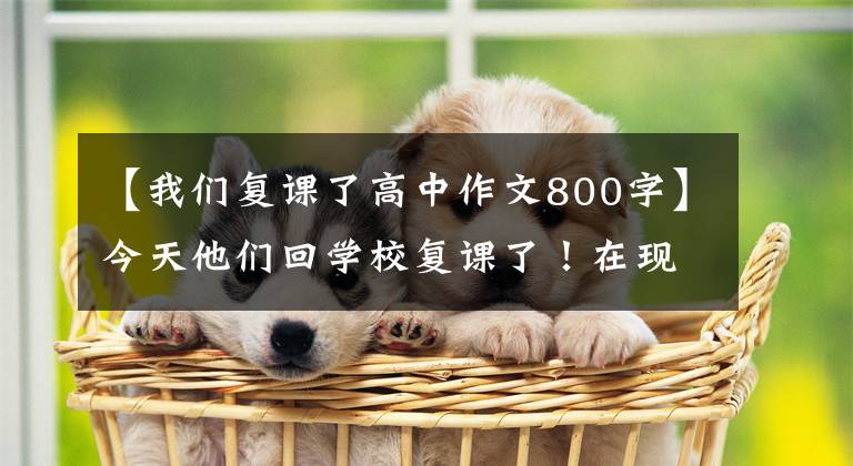 【我们复课了高中作文800字】今天他们回学校复课了！在现场拍了这样的场面……