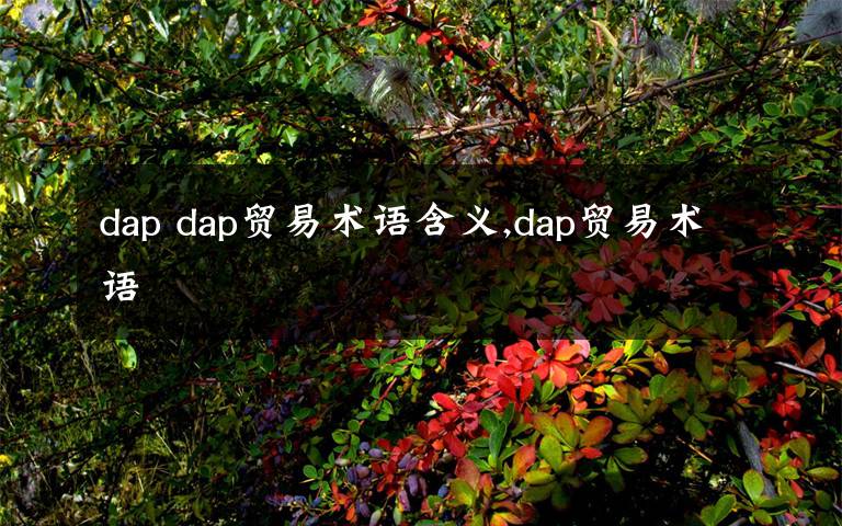 dap dap贸易术语含义,dap贸易术语文章配图