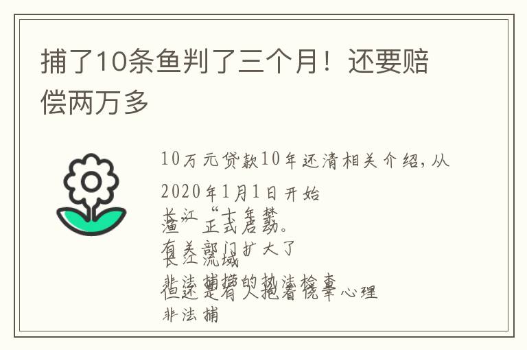 捕了10条鱼判了三个月！还要赔偿两万多文章配图