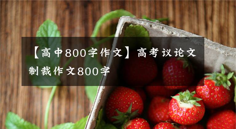 【高中800字作文】高考议论文制裁作文800字