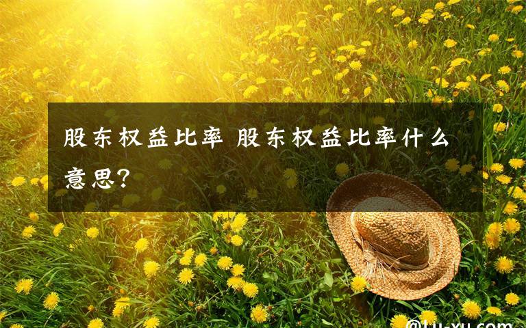 股东权益比率 股东权益比率什么意思？文章配图