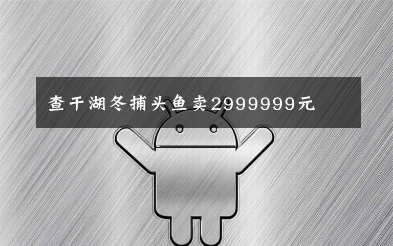 查干湖冬捕头鱼卖2999999元