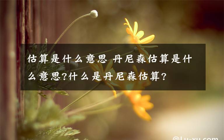 估算是什么意思 丹尼森估算是什么意思?什么是丹尼森估算?文章配图