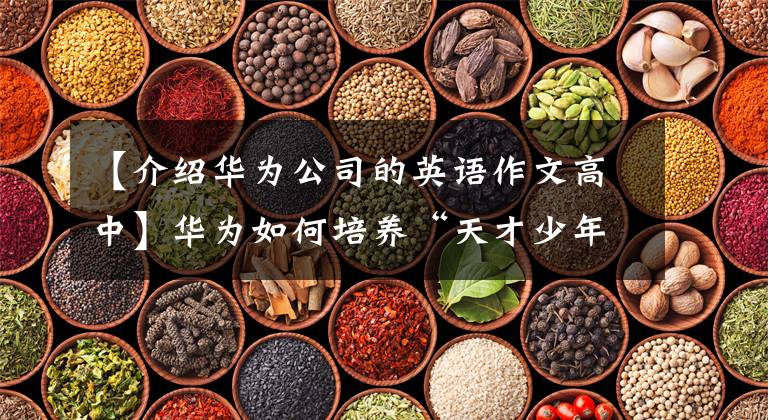【介绍华为公司的英语作文高中】华为如何培养“天才少年”？外籍导师“老刀”讲述了作为导师的道理