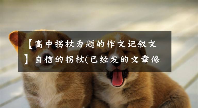 【高中拐杖为题的作文记叙文】自信的拐杖(已经发的文章修订版)文章配图