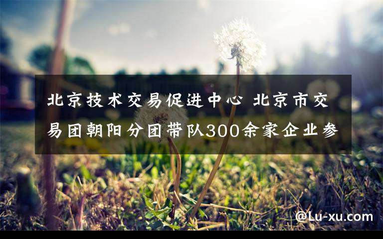 北京技术交易促进中心 北京市交易团朝阳分团带队300余家企业参加进博会