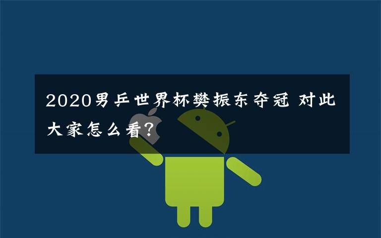 2020男乒世界杯樊振东夺冠 对此大家怎么看？