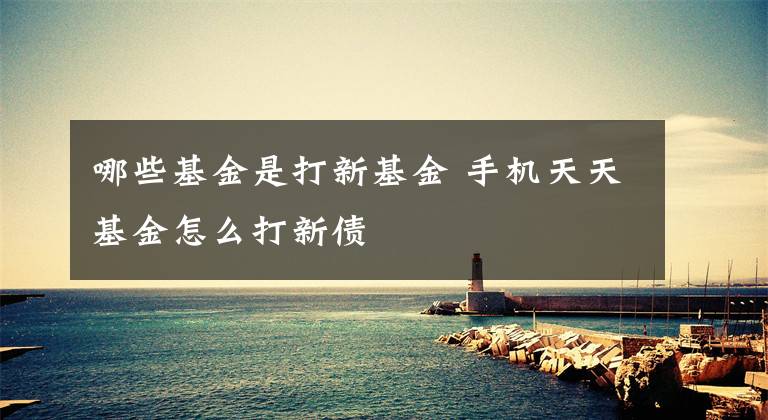 哪些基金是打新基金 手机天天基金怎么打新债文章配图