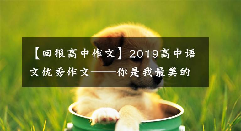 【回报高中作文】2019高中语文优秀作文——你是我最美的行囊