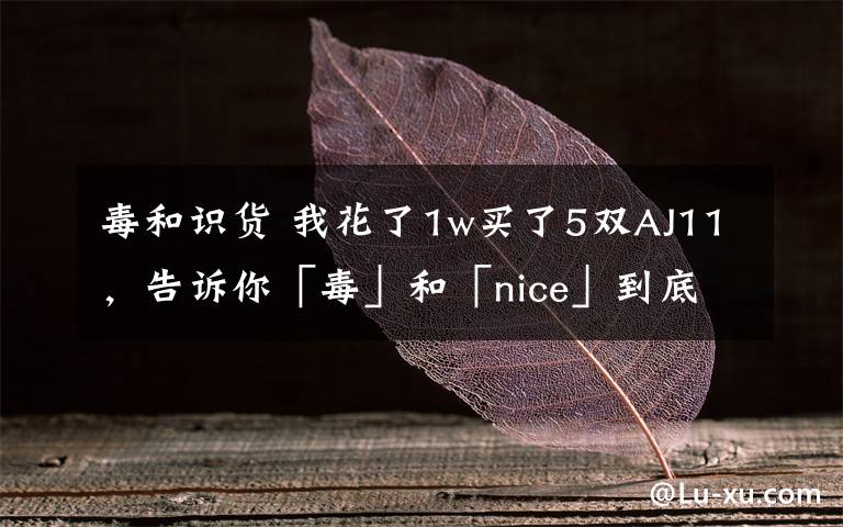 毒和识货 我花了1w买了5双AJ11，告诉你「毒」和「nice」到底谁买鞋更好用！