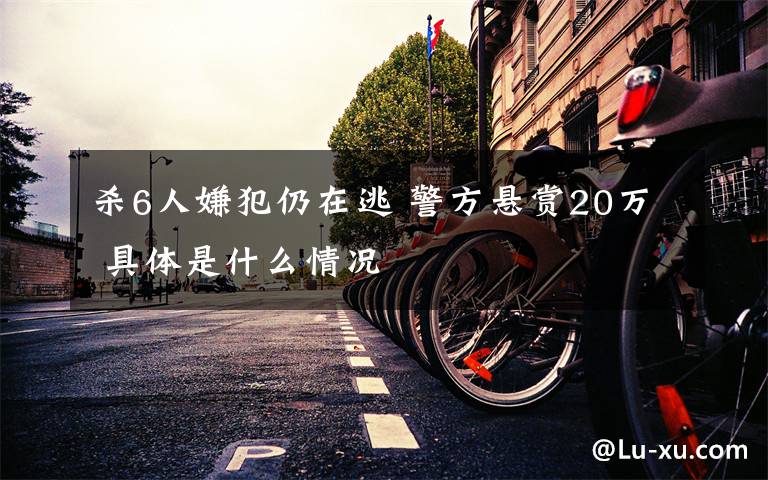 杀6人嫌犯仍在逃 警方悬赏20万 具体是什么情况文章配图