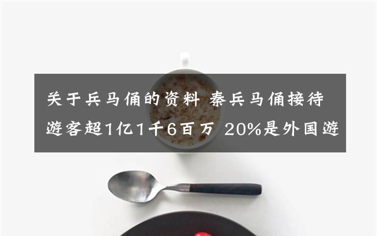 关于兵马俑的资料 秦兵马俑接待游客超1亿1千6百万 20%是外国游客