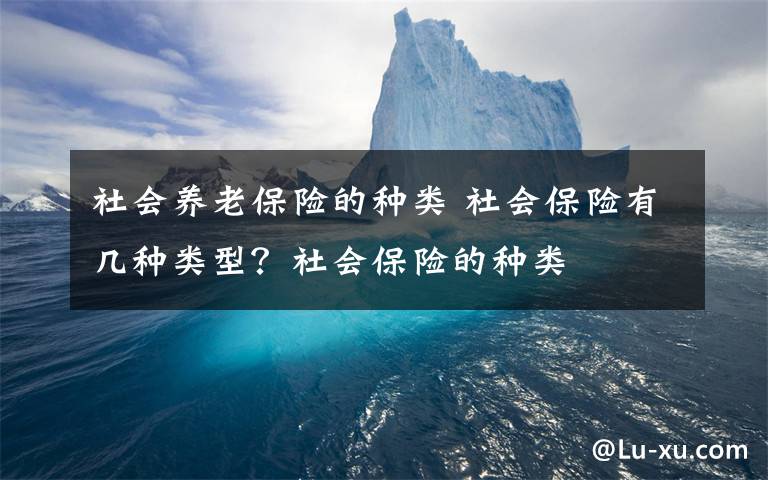 社会养老保险的种类 社会保险有几种类型？社会保险的种类文章配图
