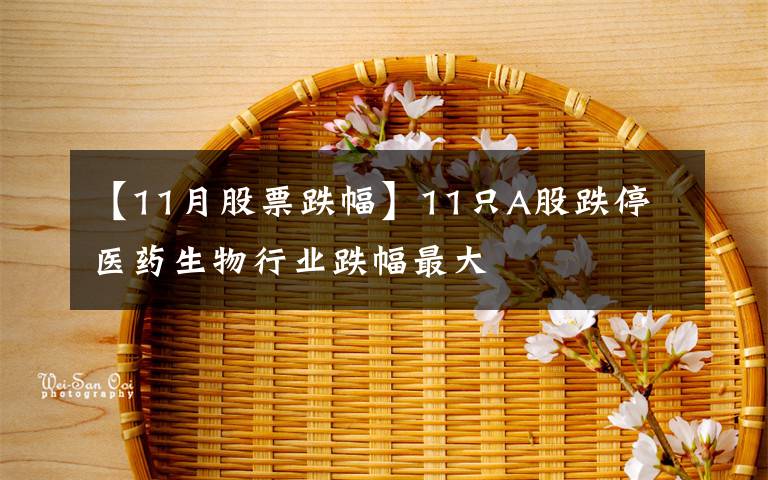 【11月股票跌幅】11只A股跌停 医药生物行业跌幅最大