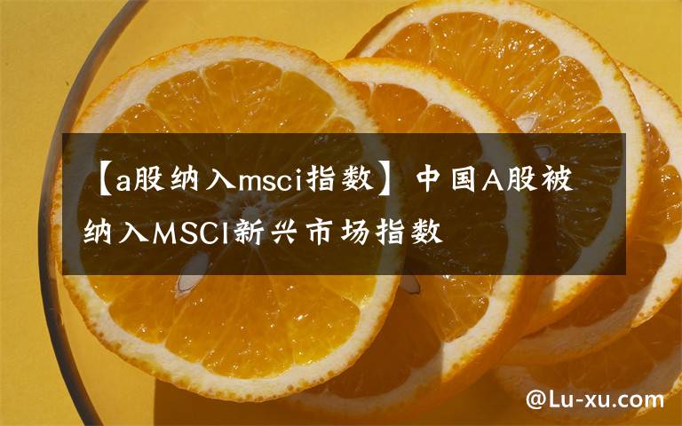 【a股纳入msci指数】中国A股被纳入MSCI新兴市场指数
