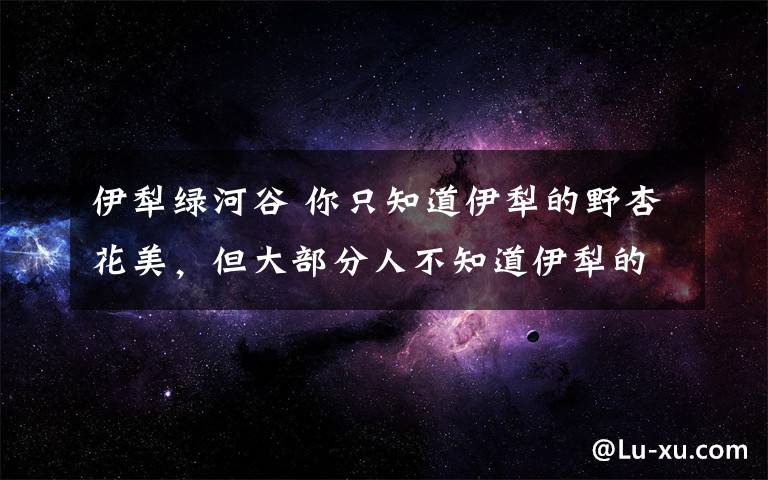 伊犁绿河谷 你只知道伊犁的野杏花美，但大部分人不知道伊犁的大白杏甜！