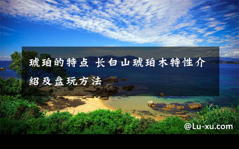 琥珀的特点 长白山琥珀木特性介绍及盘玩方法