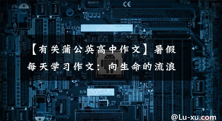 【有关蒲公英高中作文】暑假每天学习作文：向生命的流浪者鞠躬