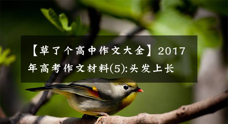 【草了个高中作文大全】2017年高考作文材料(5):头发上长草