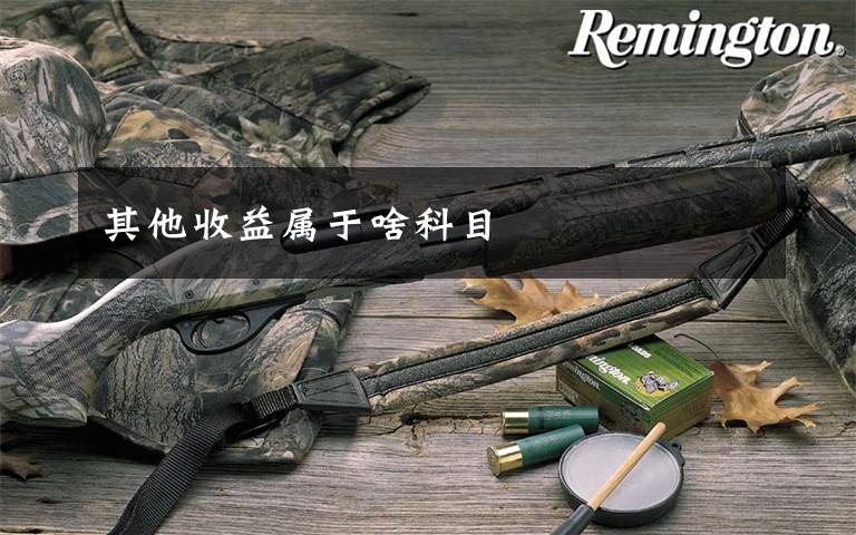 其他收益属于啥科目文章配图