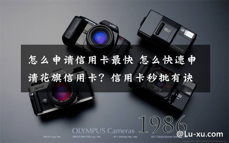 怎么申请信用卡最快 怎么快速申请花旗信用卡？信用卡秒批有诀窍文章配图