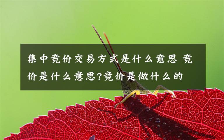 集中竞价交易方式是什么意思 竞价是什么意思?竞价是做什么的文章配图