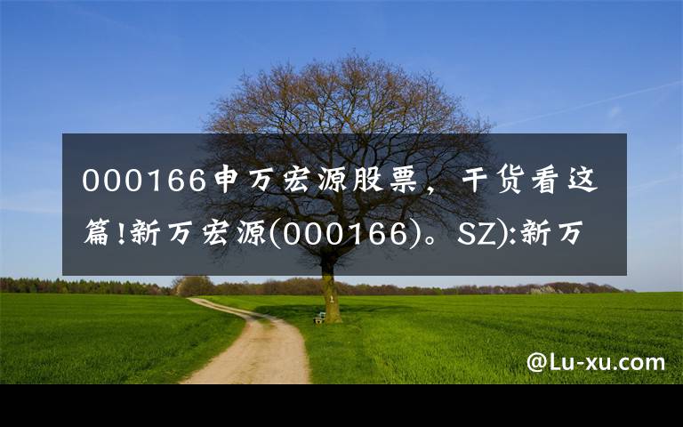 000166申万宏源股票，干货看这篇!新万宏源(000166)。SZ):新万宏源证券2021年公司债券(7期)在深交所上市