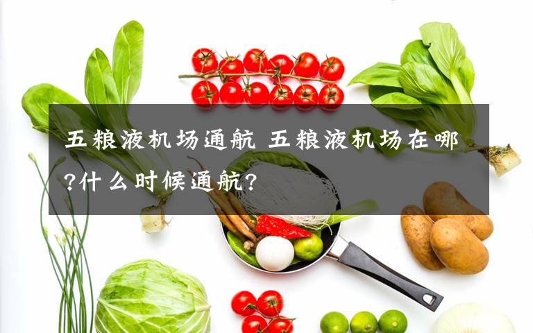 五粮液机场通航 五粮液机场在哪?什么时候通航?文章配图