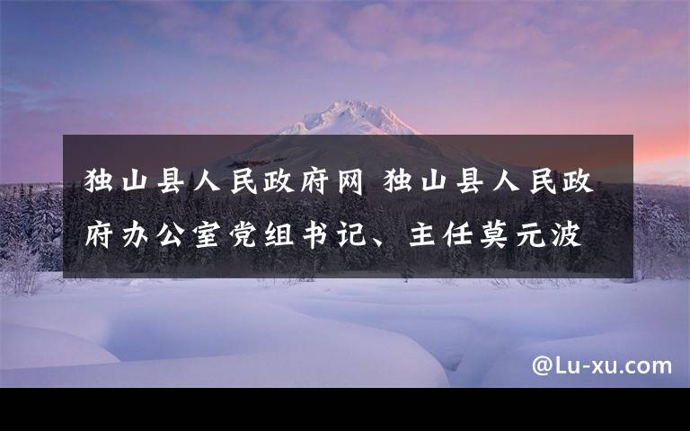 独山县人民政府网 独山县人民政府办公室党组书记、主任莫元波接受审查调查