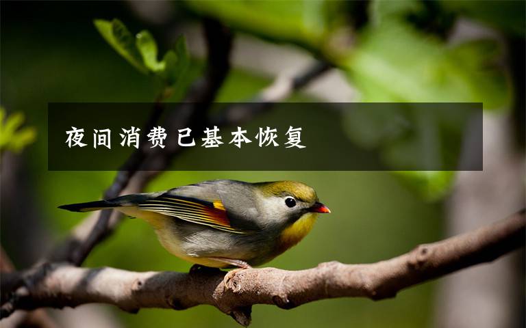 夜间消费已基本恢复文章配图