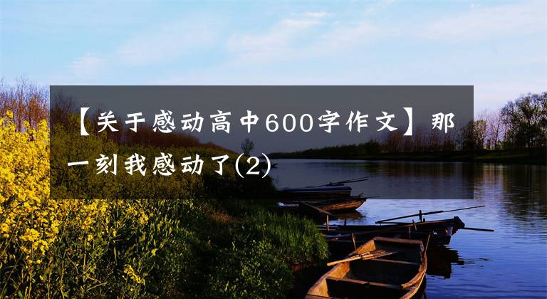 【关于感动高中600字作文】那一刻我感动了(2)