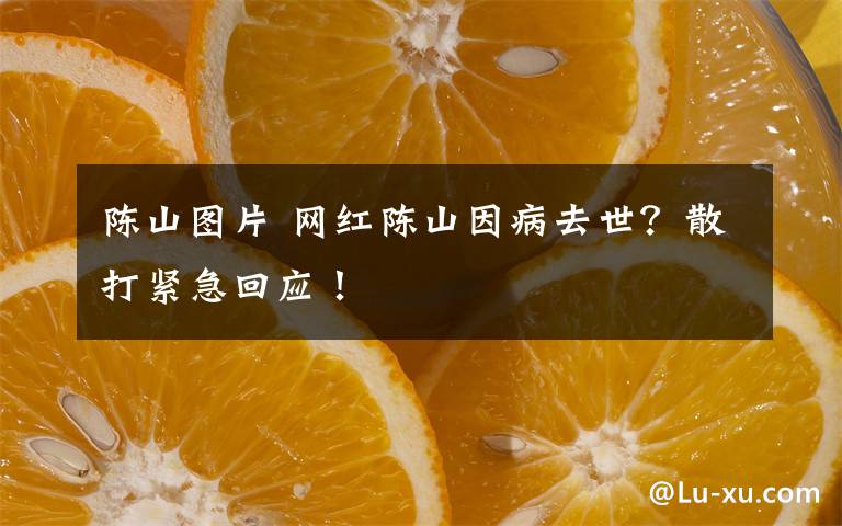 陈山图片 网红陈山因病去世？散打紧急回应！文章配图