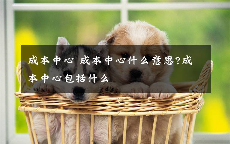 成本中心 成本中心什么意思?成本中心包括什么文章配图