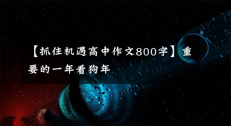 【抓住机遇高中作文800字】重要的一年看狗年