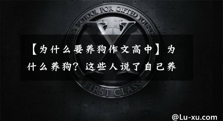 【为什么要养狗作文高中】为什么养狗？这些人说了自己养狗的真正原因文章配图