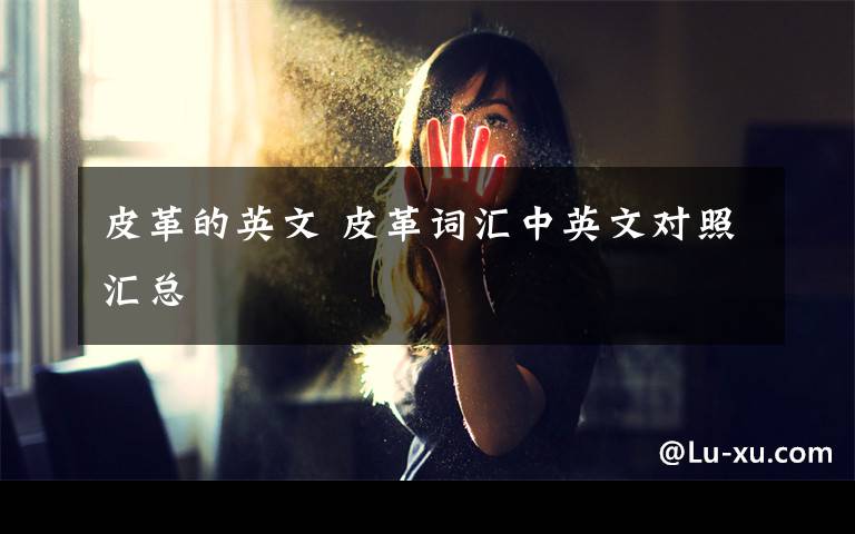 皮革的英文 皮革词汇中英文对照汇总文章配图