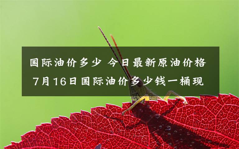 国际油价多少 今日最新原油价格 7月16日国际油价多少钱一桶现在？文章配图