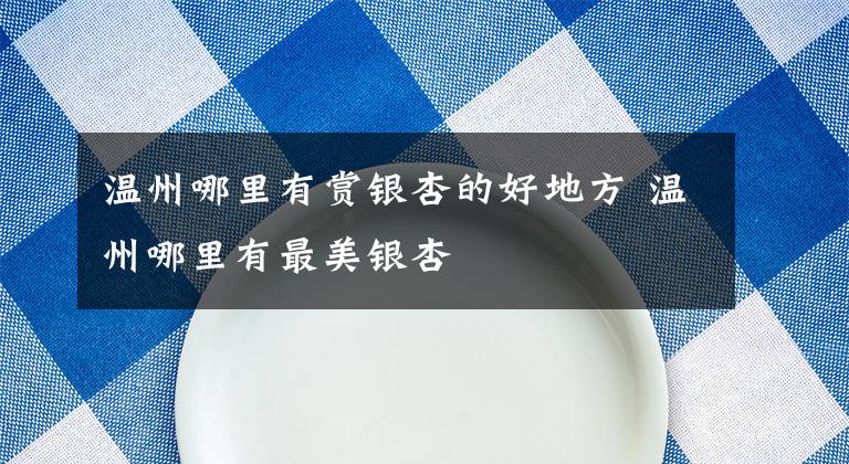 温州哪里有赏银杏的好地方 温州哪里有最美银杏